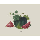 Watermelon Poster